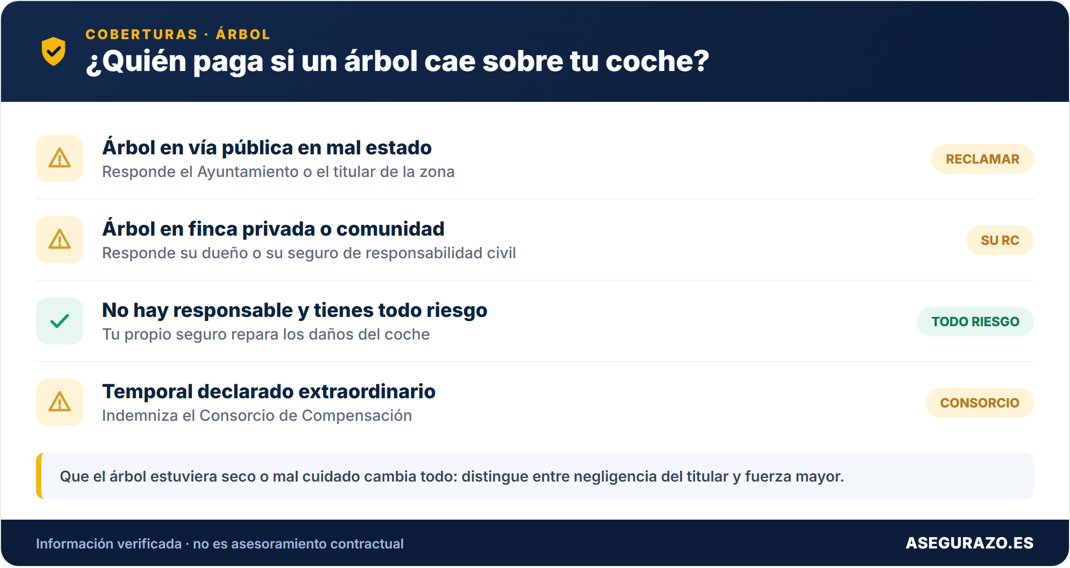Árbol caído sobre un coche: quién paga según el caso