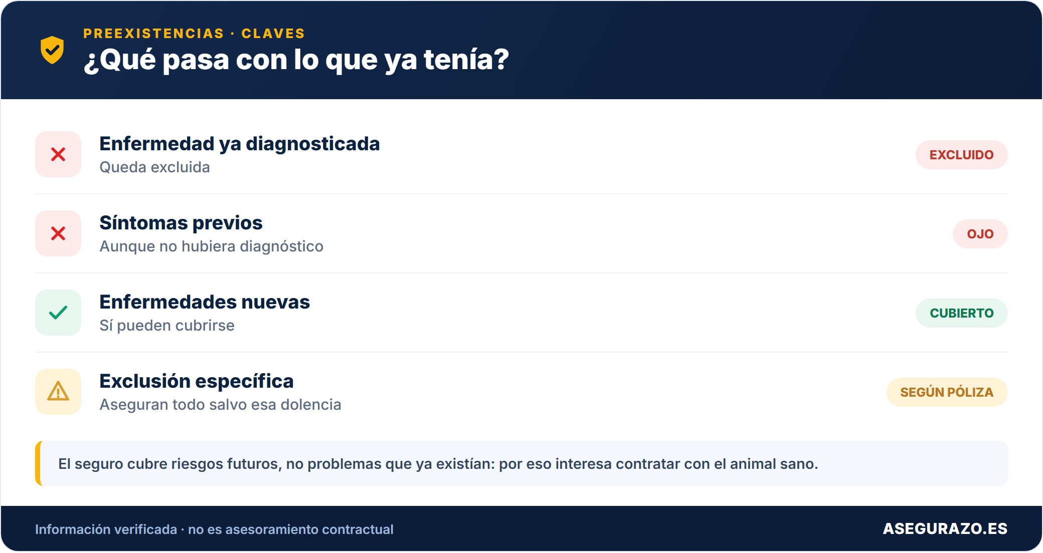 Seguro de mascotas y enfermedades preexistentes: qué cubre y qué opciones tienes