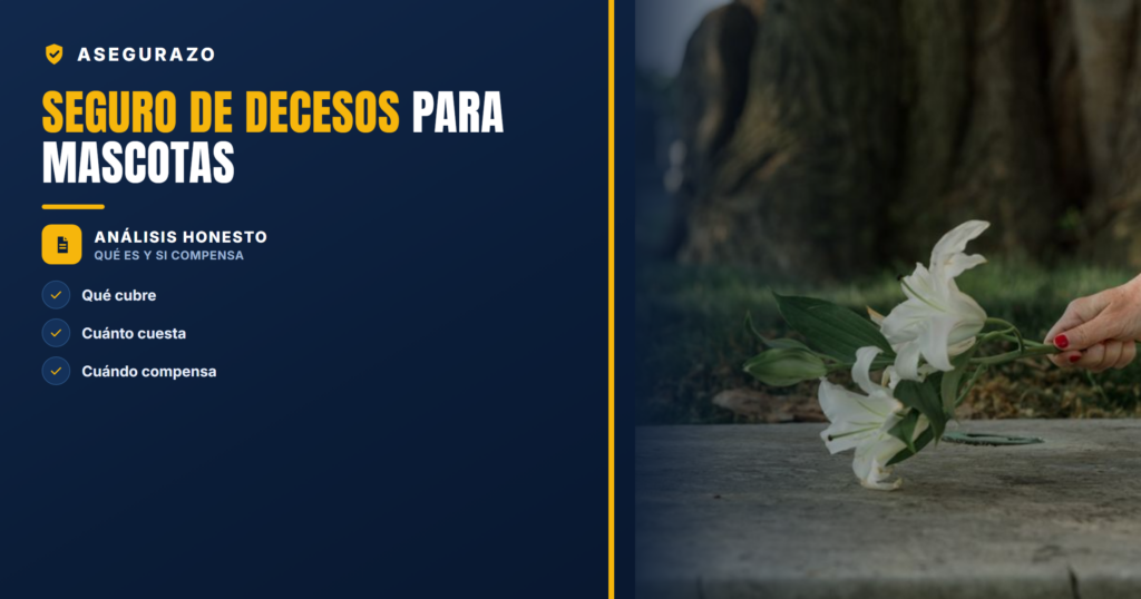 Seguro de decesos para mascotas: qué es, qué cubre y si compensa contratarlo