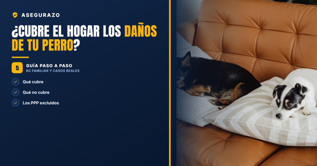 ¿Cubre el seguro de hogar los daños que causa mi perro? Responsabilidad civil y casos reales