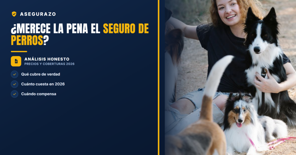 ¿Merece la pena el seguro de perros? | Asegurazo