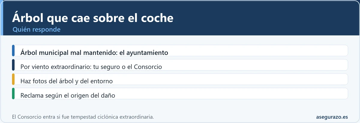 Quién paga si un árbol cae sobre el coche