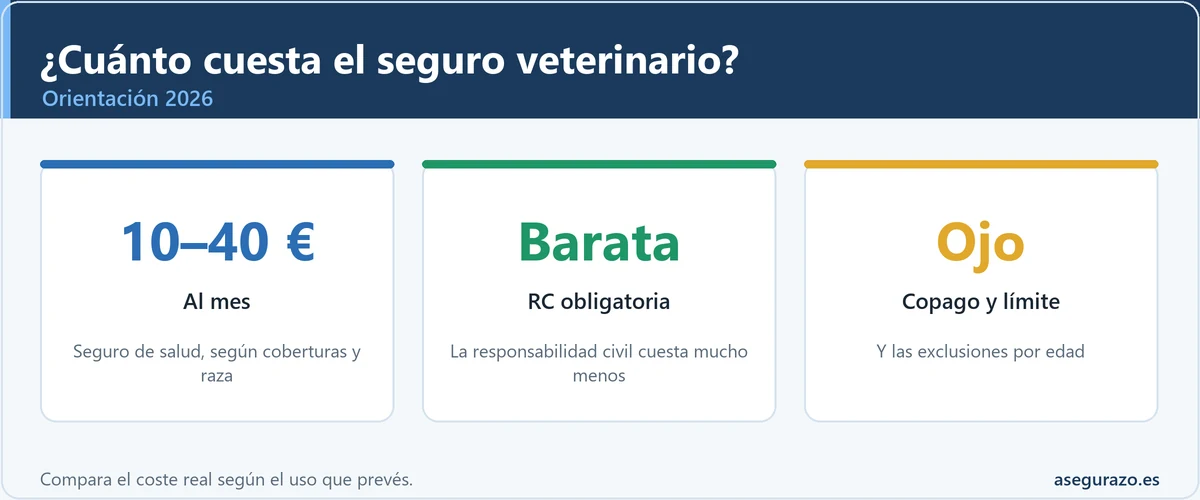 Cuánto cuesta un seguro veterinario en 2026: entre 10 y 40 euros al mes