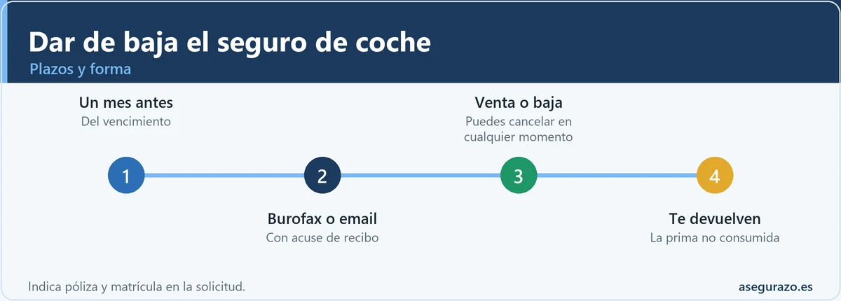 Cómo y cuándo dar de baja el seguro de coche