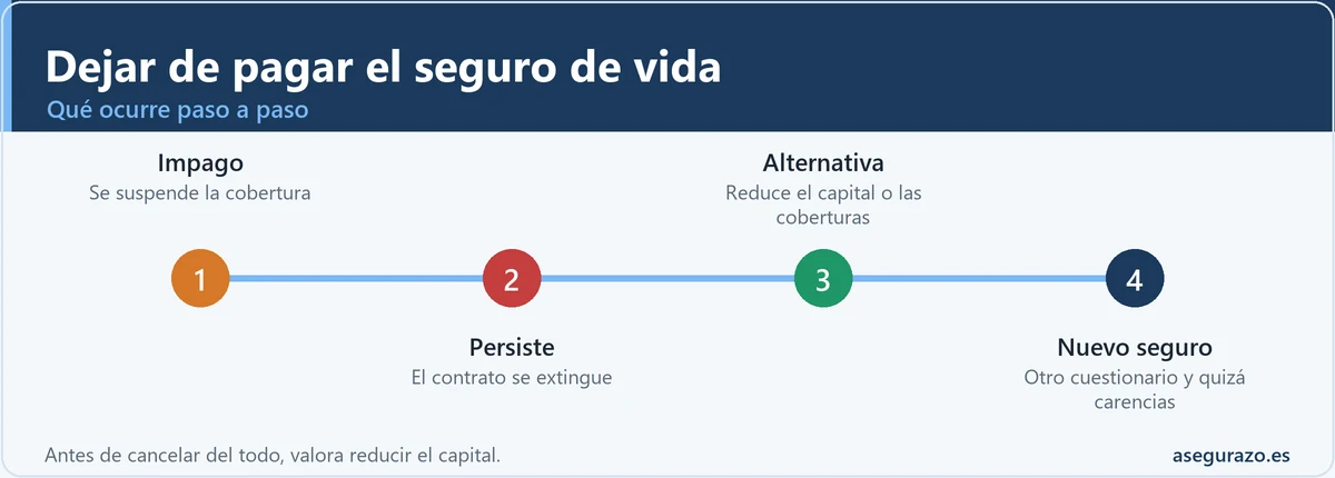 Consecuencias de dejar de pagar el seguro de vida y alternativas