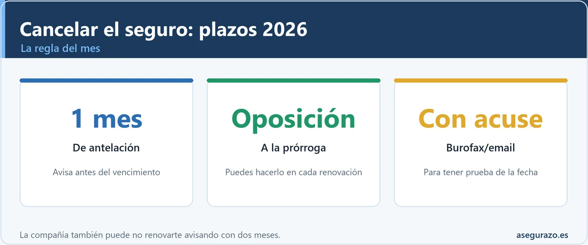 Plazos legales para cancelar un seguro en España en 2026
