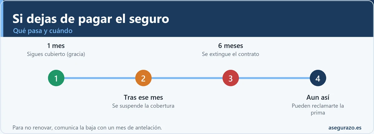 Qué pasa si dejas de pagar el seguro