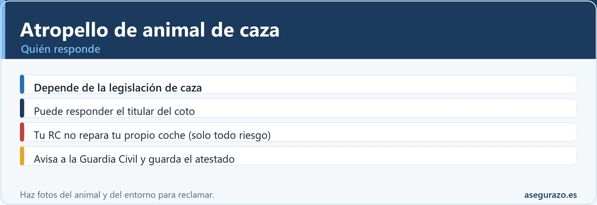 Quién responde en el atropello de un animal de caza