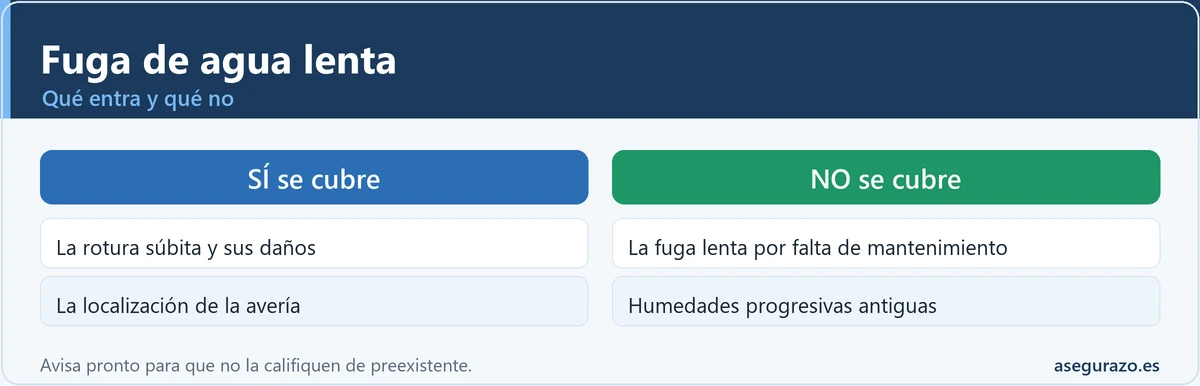 Cuándo cubre el seguro una fuga de agua lenta