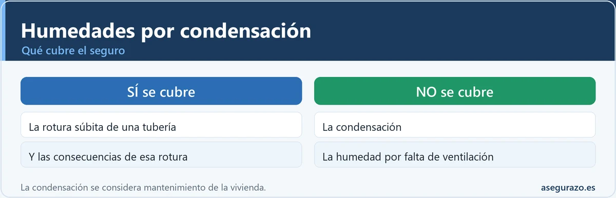 Por qué el seguro no cubre las humedades por condensación