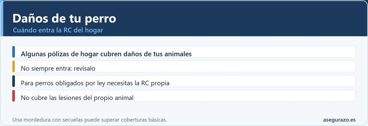 Cuándo cubre la responsabilidad civil del hogar los daños que causa tu perro