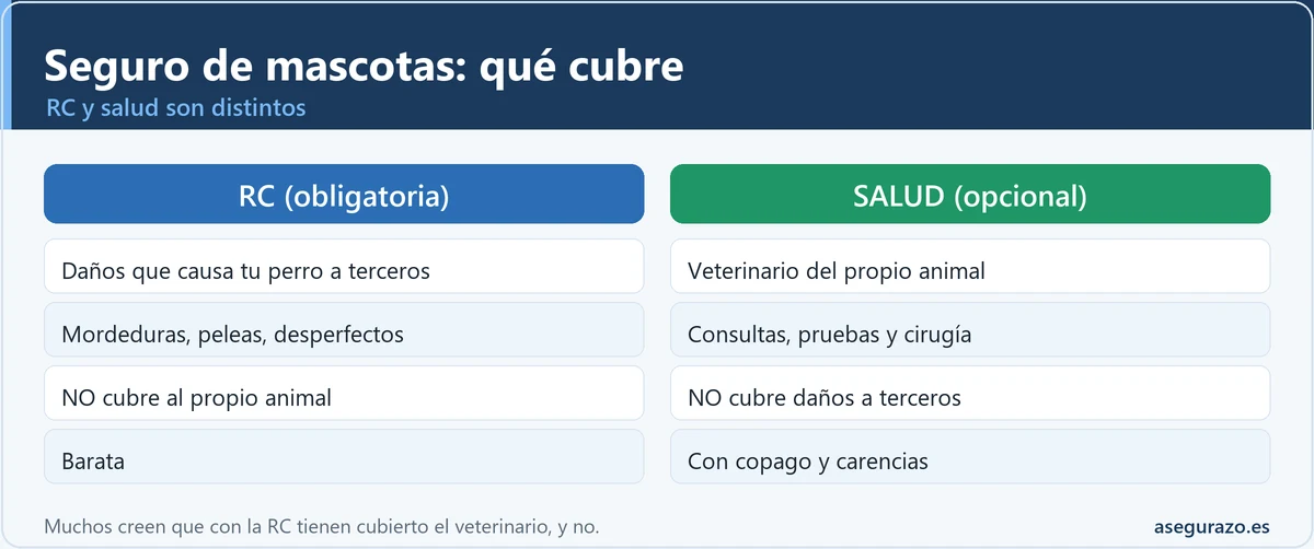 Qué cubre de verdad el seguro de mascotas: responsabilidad civil frente a salud