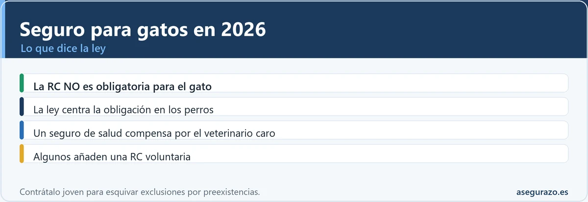 Seguro para gatos en 2026: la RC no es obligatoria pero la salud compensa