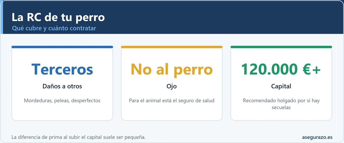 Qué cubre la responsabilidad civil del perro y qué capital contratar
