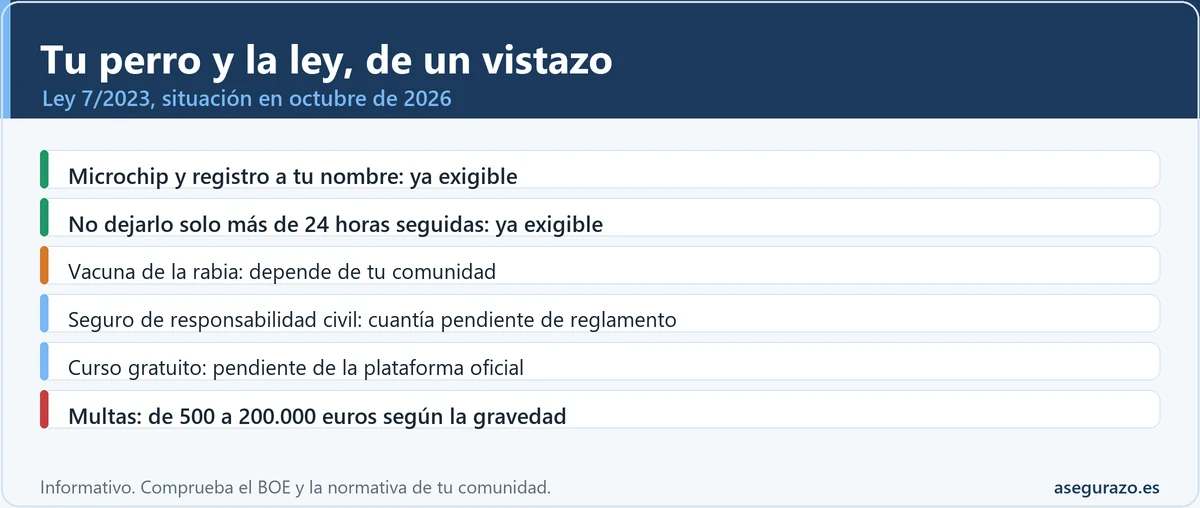 Lista de obligaciones con el perro según la Ley 7/2023: microchip, registro y no dejarlo solo más de 24 horas son exigibles hoy; la vacuna de la rabia depende de la comunidad; el seguro de responsabilidad civil y el curso gratuito esperan reglamento; las multas van de 500 a 200.000 euros según la gravedad.