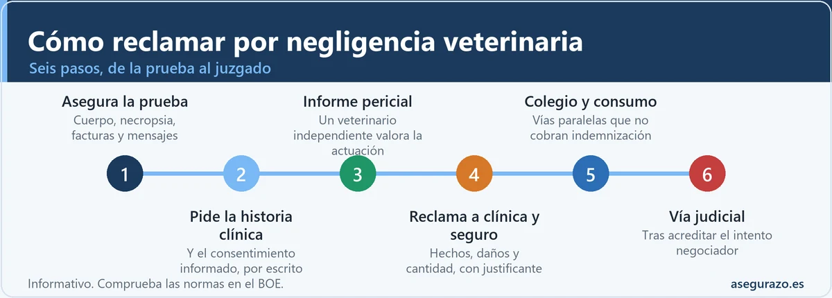 Infografía en línea de tiempo con seis pasos para reclamar por negligencia veterinaria: asegurar la prueba, pedir la historia clínica, informe pericial, reclamar a la clínica y su seguro, acudir al Colegio y a consumo, y vía judicial.