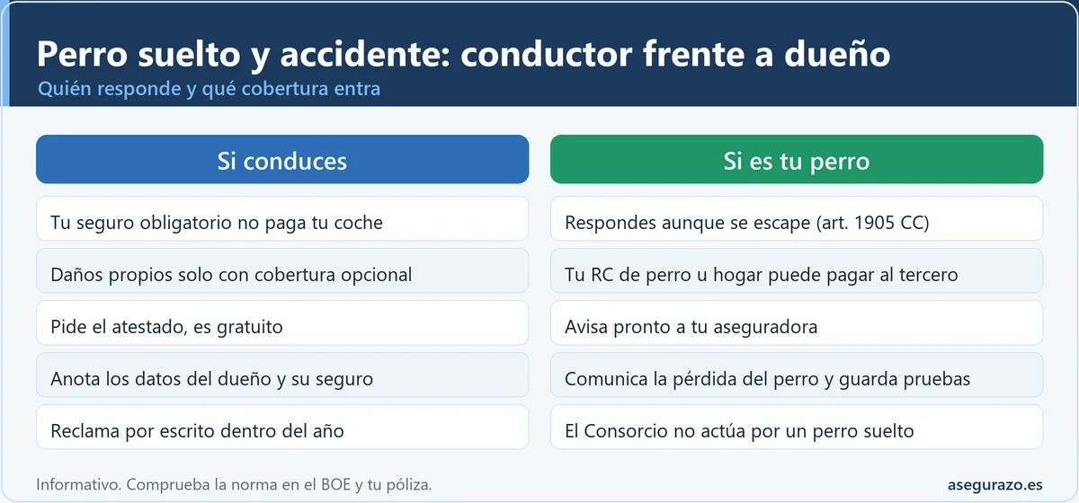 Infografía comparativa de dos columnas, una para el conductor y otra para el dueño del perro, con cinco filas sobre quién responde en un accidente causado por un perro suelto, qué cubre el seguro y qué reclamar.