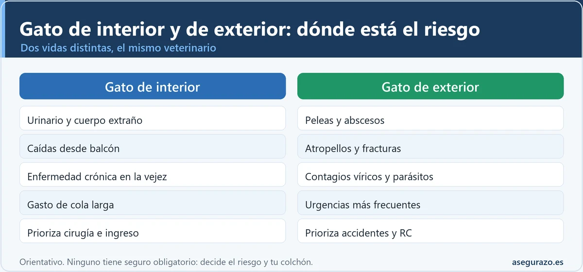 Infografía comparativa entre gato de interior y gato de exterior: el de interior sufre sobre todo problemas urinarios, cuerpos extraños, caídas desde balcón y enfermedad crónica en la vejez; el de exterior, peleas, atropellos, contagios y parásitos. Se recomienda priorizar cirugía e ingreso en el primero y accidentes y responsabilidad civil en el segundo.