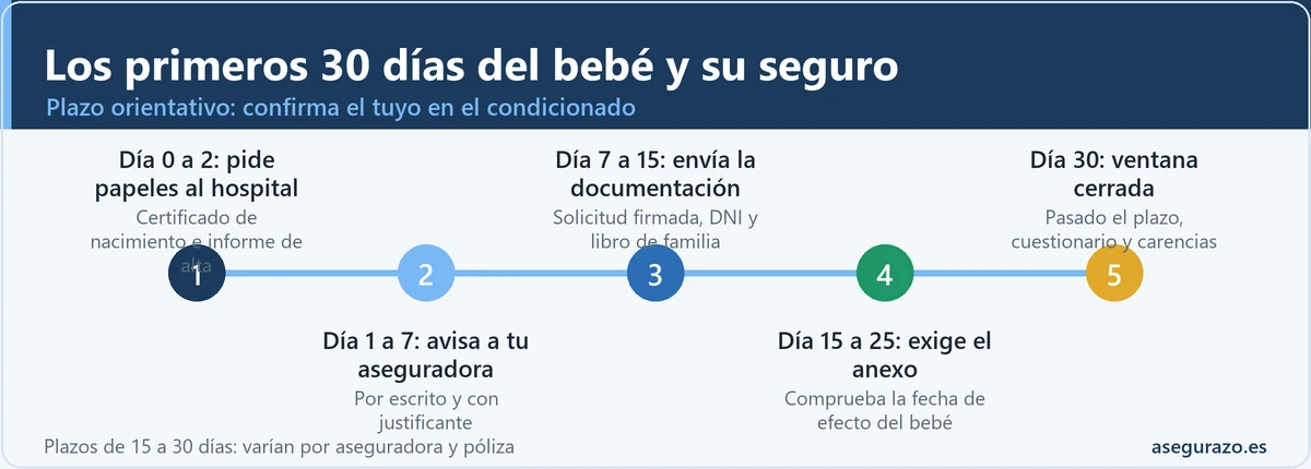 Línea de tiempo de los primeros 30 días del bebé para incluirlo en el seguro de salud: papeles del hospital, aviso por escrito, documentación, anexo con fecha de efecto y cierre del plazo.