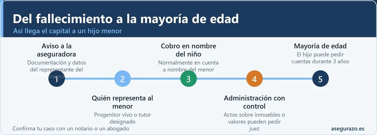 Línea de tiempo con cinco etapas desde el fallecimiento hasta la mayoría de edad: aviso a la aseguradora, quién representa al menor, cobro en nombre del niño, administración con control judicial en ciertos actos y entrega al cumplir 18 años.
