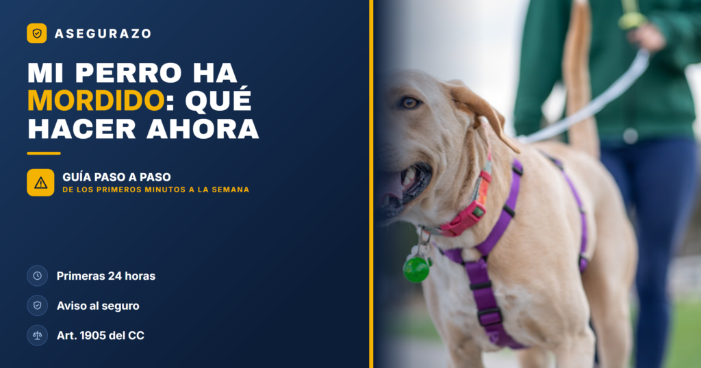 Mi perro ha mordido a alguien: qué hacer en las primeras 24 horas - Asegurazo