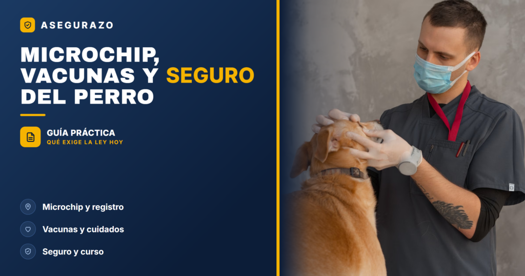Microchip, vacunas y seguro del perro: qué exige la ley 2026 - Asegurazo