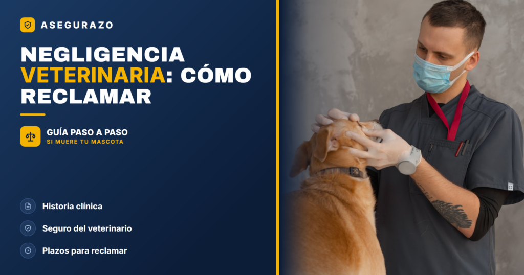 Negligencia veterinaria: cómo reclamar si muere tu mascota - Asegurazo