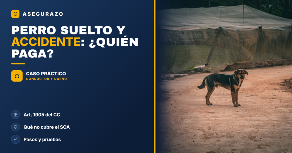 Perro suelto provoca un accidente de tráfico: quién paga - Asegurazo