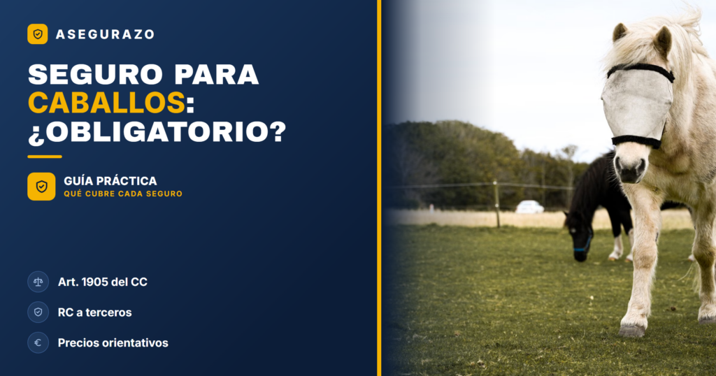 Seguro para caballos: responsabilidad civil, precio y obligación - Asegurazo