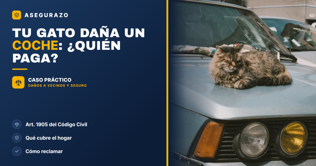 Tu gato daña un coche o a un vecino: ¿lo cubre el seguro? - Asegurazo