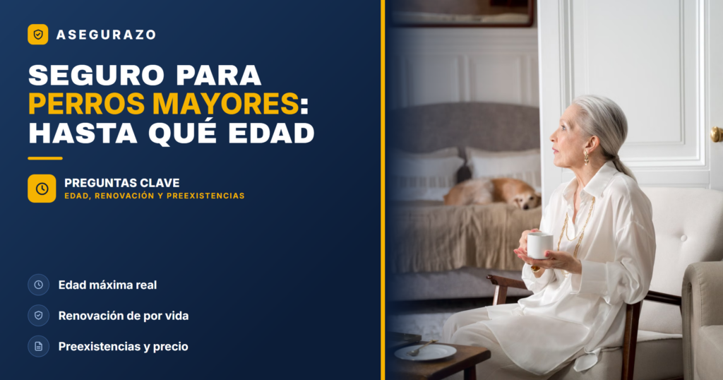 Seguro para perros mayores 2026: hasta qué edad contratarlo - Asegurazo